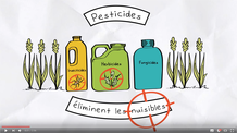 Pourquoi et comment réduire les pesticides YouTube Mozilla Firefox